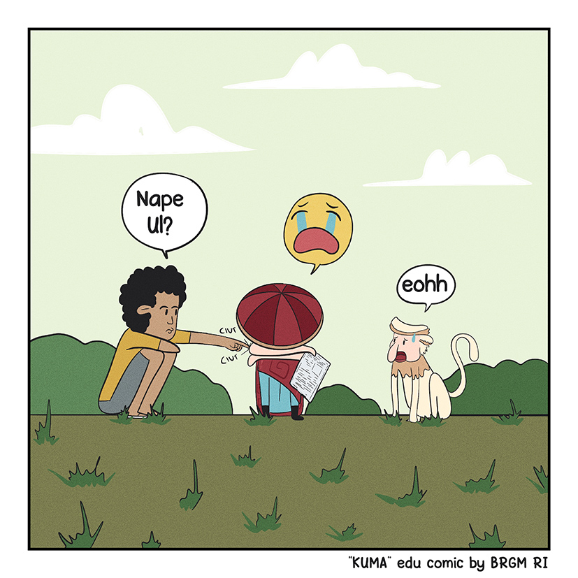 Image 1 - 13